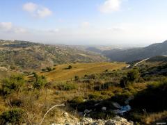 DSCN8478.jpg