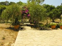 DSCN8495.jpg
