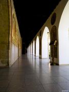 DSCN8645.jpg