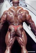 ronnie_coleman_photo340_29818577.jpg