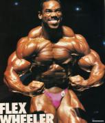 Flex_Wheeler_45.jpg