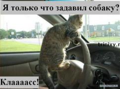 img_5654081_119_0.jpg