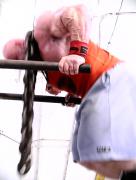 брут86_e1.jpg