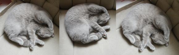 P3312099 - 31.03.2012...jpg