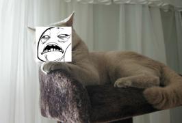 fffuuu.jpg