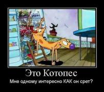 jJeThX50l7U.jpg