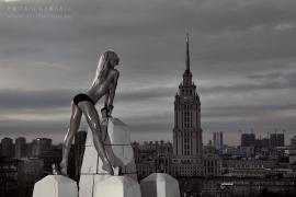2261595.jpg