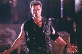 шварценеггер стиратель.jpg