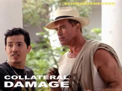 шварценеггер возмещение ущерба.jpg