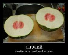 getImage4КУ.jpeg
