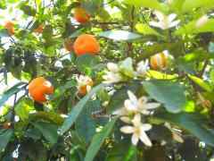 DSC04838.jpg