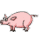 getImage pig.gif