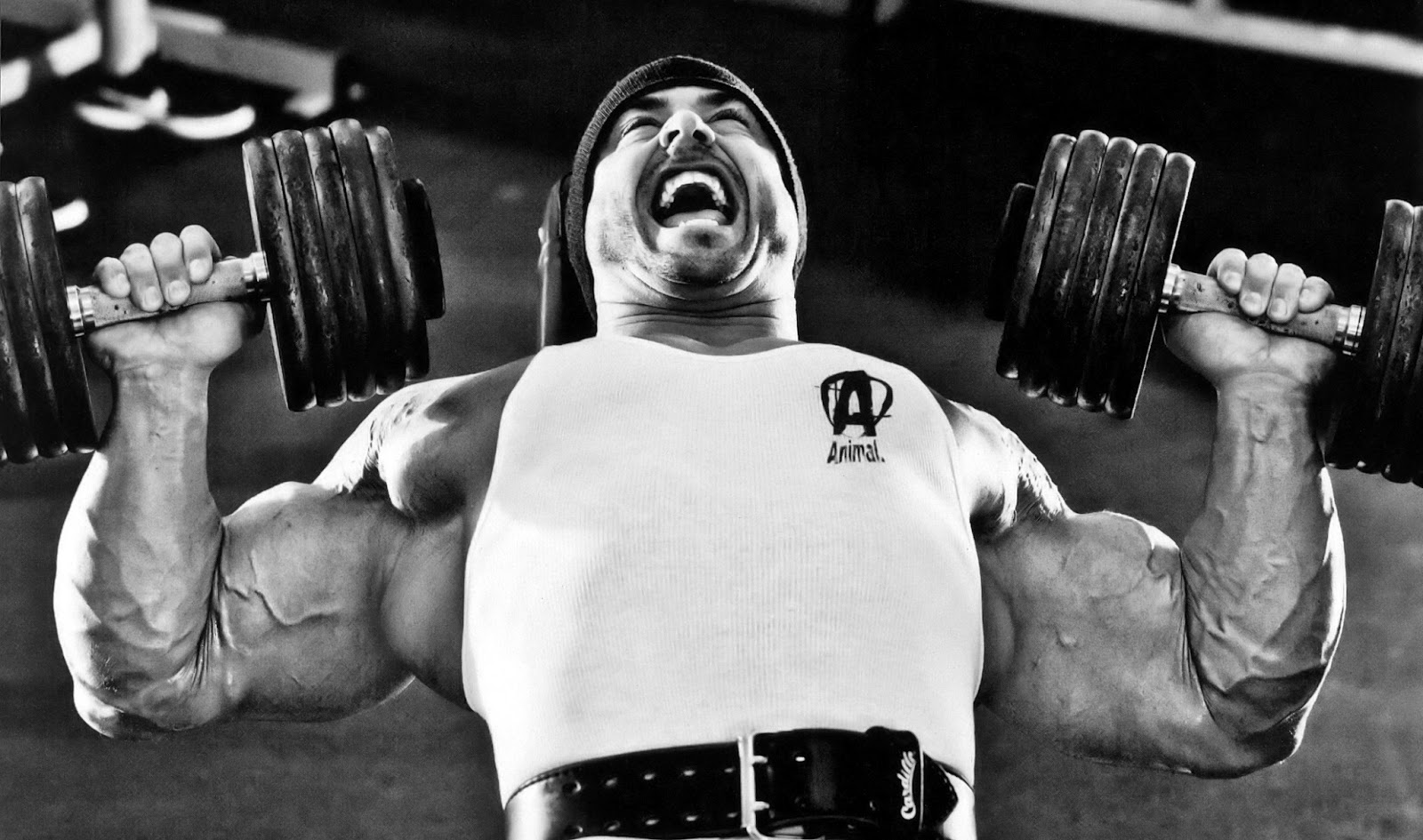 Animal Pak Frank MCGRATH