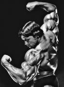 ArnoldSchwarzenegger-MD-May2013-Unk-419.jpg