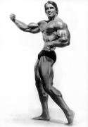 ArnoldSchwarzenegger-MD-May2013-RussWarner-421.jpg