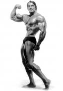 ArnoldSchwarzenegger-MD-May2013-RussWarner-423.jpg