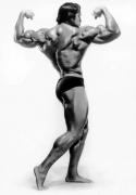 ArnoldSchwarzenegger-MD-May2013-RussWarner-422.jpg