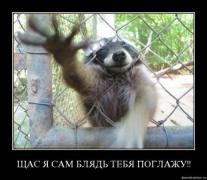 нос.jpg