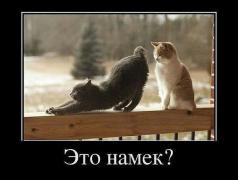 намек.jpg