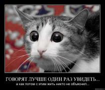 страх2.jpg