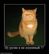 рожа.jpg