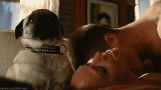 tumblr_m38rkspjyB1rtru01o1_500.gif