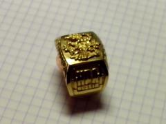 IMG_20130325_124046.jpg