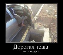 409218_dorogaya-tescha-_demotivators_ru.jpg