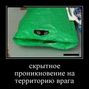 57.jpg