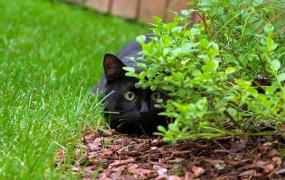 image_562206120538301614120.jpg