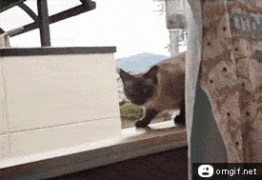I-Believe-I-can-Fly.gif