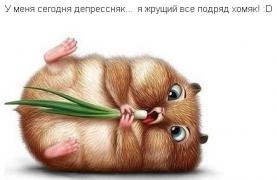 2013-04-29_102550.jpg