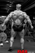09FLEXab0335wtmk.jpg