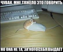 yumora-nemnogo-kartinki-smeshnye-kartinki-fotoprikoly_8949299532.jpg