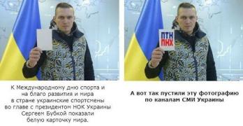 1052008_original.jpg