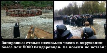 1013089_original.jpg