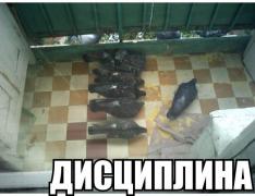yumora-nemnogo-kartinki-smeshnye-kartinki-fotoprikoly_92937311.jpg