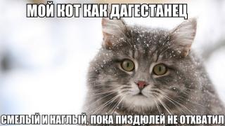 yumora-nemnogo-kartinki-smeshnye-kartinki-fotoprikoly_57618305.jpg