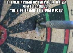 yumora-nemnogo-kartinki-smeshnye-kartinki-fotoprikoly_9613294738.jpg