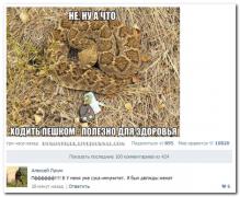 setey-socialnyh-kommentarii-citaty-vkontakte-vkontakte-smeshnye-statusy_841644270.jpg