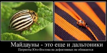 1048729_original.jpg