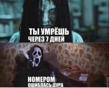 yumora-nemnogo-kartinki-smeshnye-kartinki-fotoprikoly_6055472914.jpg