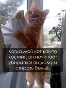 yumora-nemnogo-kartinki-smeshnye-kartinki-fotoprikoly_871744856.jpg