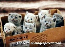 yumora-nemnogo-kartinki-smeshnye-kartinki-fotoprikoly_127837166.jpg