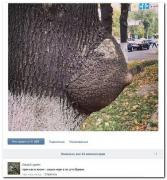 setey-socialnyh-kommentarii-citaty-vkontakte-vkontakte-smeshnye-statusy_2788203188.jpg