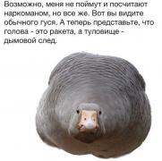 yumora-nemnogo-kartinki-smeshnye-kartinki-fotoprikoly_175066496.jpg