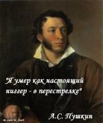 3639-Пушкин-цитаты-ниггер.jpg