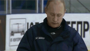 1 (15).gif