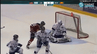 1 (3).gif