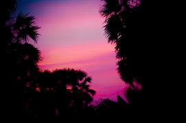 DSC_10111 (31).jpg
